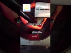 Máquinas de torrar sementes de qingjiang para prensagem a quente