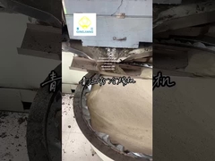 Prensa de óleo de sementes reverberantes