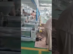 Máquina de prensagem de óleo de chili