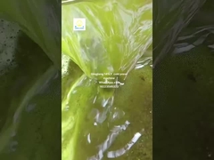 máquina de prensagem de óleo de sementes de girassol