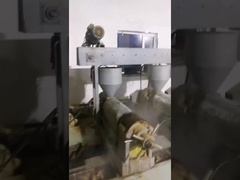 Óleo de sementes de rosa mosqueta orgânico prensado a frio