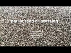 Máquina automática de prensagem de óleo