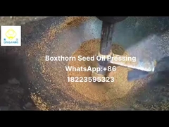 extractor de óleo prensado a frio