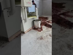 máquina de pressão a óleo frio