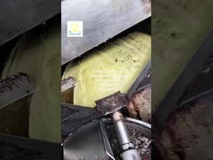 Máquina de prensagem de extracção de óleo de sementes de girassol para produção de óleo de gergelim