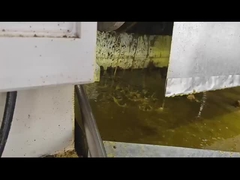 máquina de prensagem a frio de óleo de amendoim