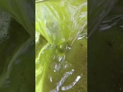 Máquina de extração de soja de pressão a frio